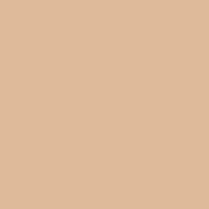 FUNDO INFINITO DE PAPEL DIMS 2,70X11MT - COR: BEIGE SAVAGE SA 25