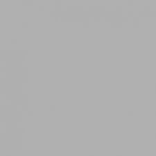 FUNDO INFINITO DE PAPEL DIMS 2,70X11MT - COR: FOCUS GRAY Savage SA 60